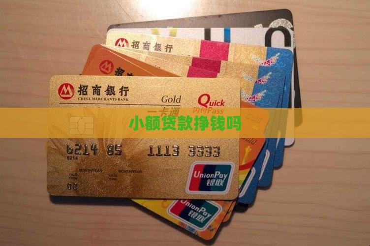 小额贷款挣钱吗