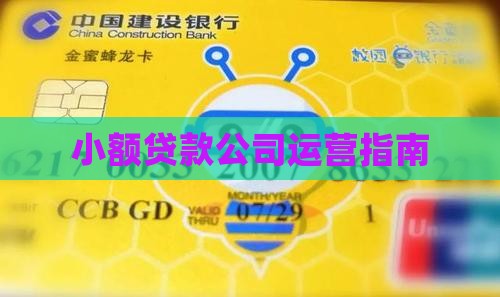 小额贷款运营