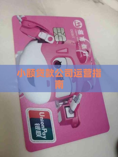 小额贷款运营