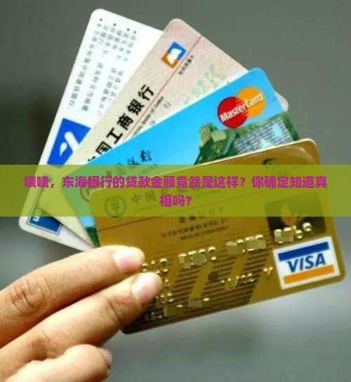 东海银行贷款金额