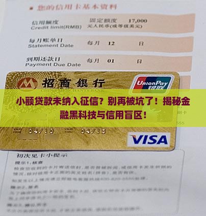 小额贷款未纳入征信 小额贷款未纳入征信