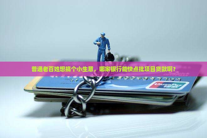 哪个银行可以项目贷款