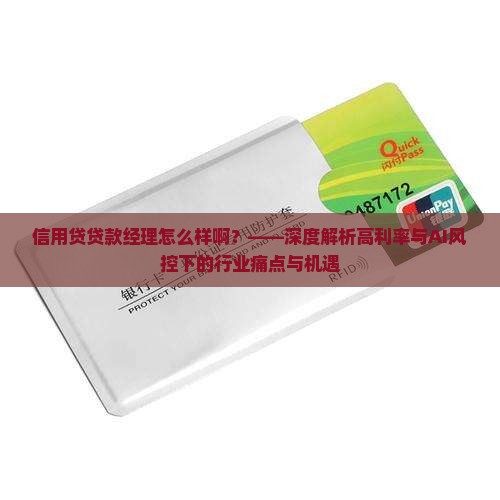 信用贷贷款经理怎么样啊