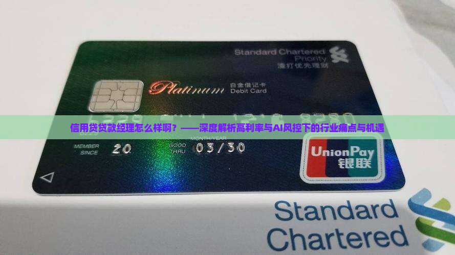 信用贷贷款经理怎么样啊