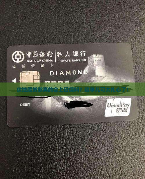 伏地魔贷款上征信吗