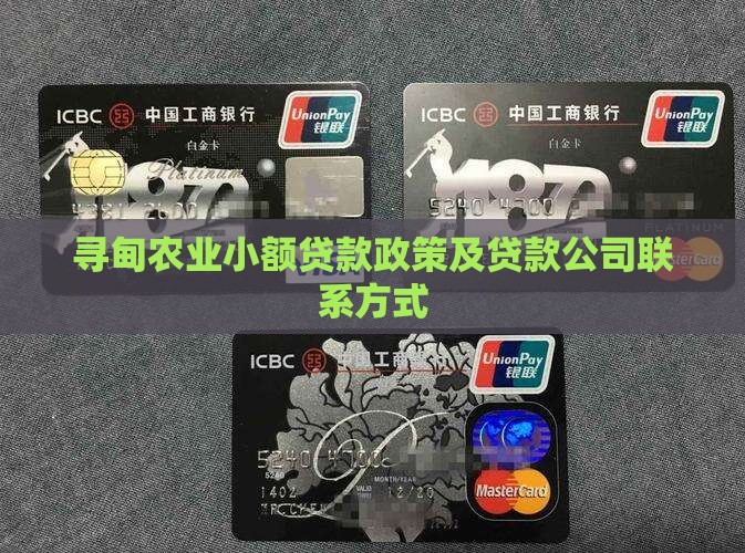 寻甸农业小额贷款