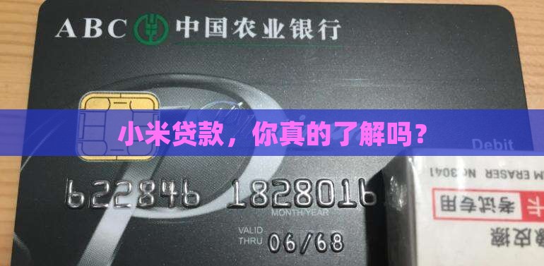 小米贷款群