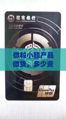 微贷网多少资金可以贷款