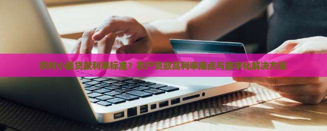 农村小额贷款利率标准