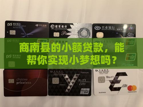 商南县小额贷款