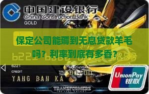 保定公司无息贷款利率