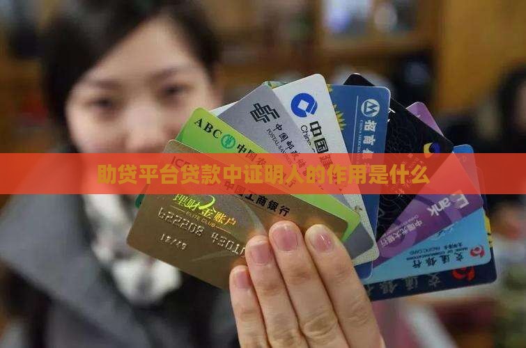 助贷平台贷款证明人