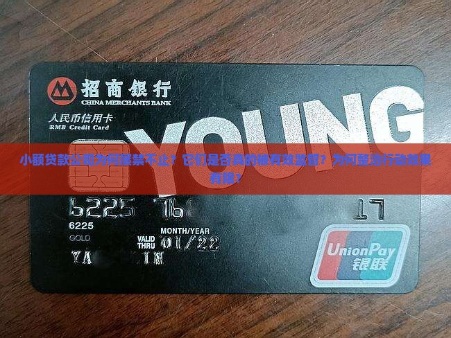 小额贷款为何不整治公司