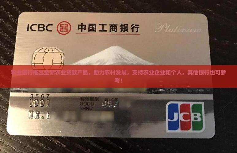 农业银行贷款39