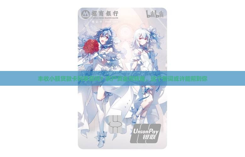 丰收小额贷款卡利率高吗