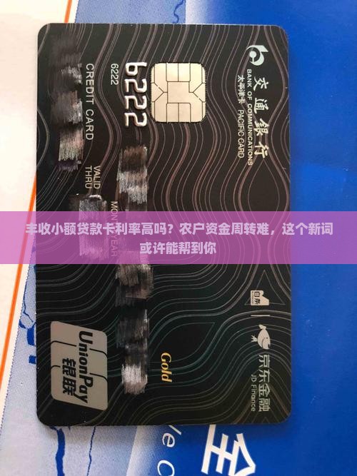 丰收小额贷款卡利率高吗