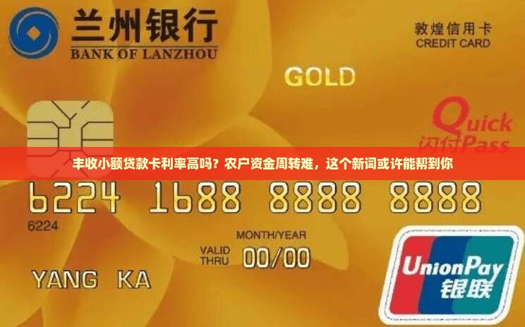 丰收小额贷款卡利率高吗