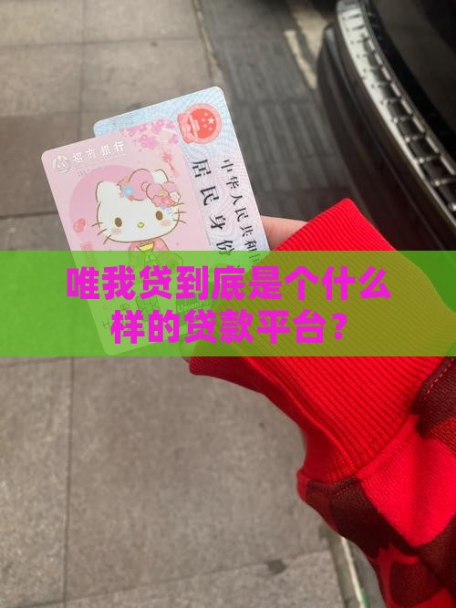 唯我贷是什么贷款平台的