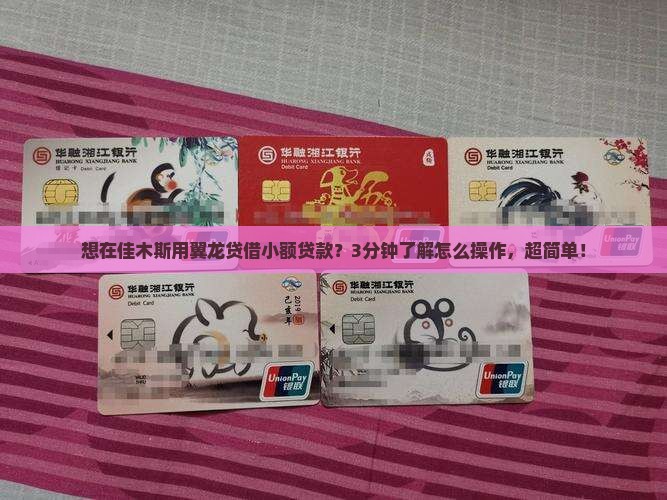 佳木斯翼龙贷小额贷款