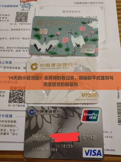 14天的小额贷款