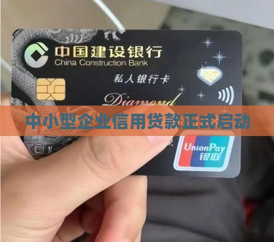 企业信用贷款正式启动