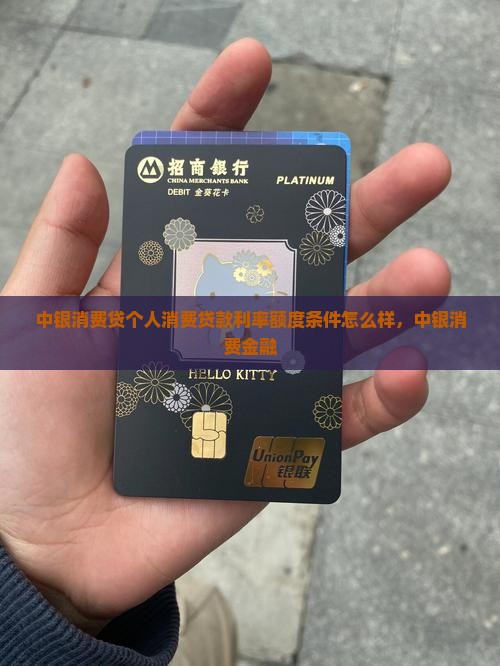 中银消费贷个人消费贷款
