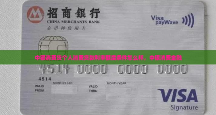 中银消费贷个人消费贷款