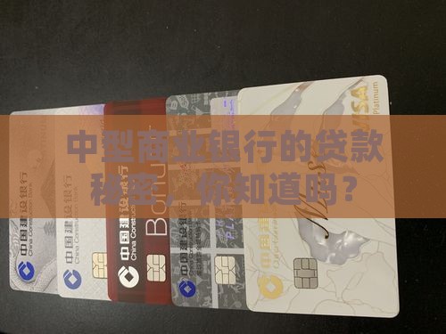 中型商业银行贷款