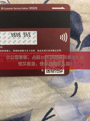 公司占股和贷款多少