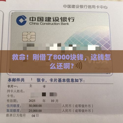 有钱花贷款借了8000
