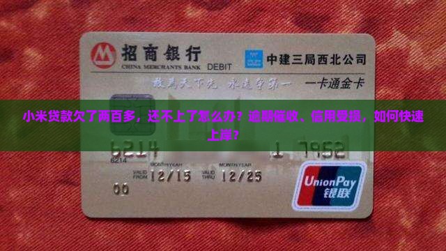 小米贷款欠了两百多