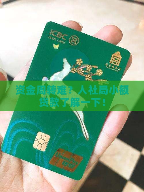 人社局申请小额贷款