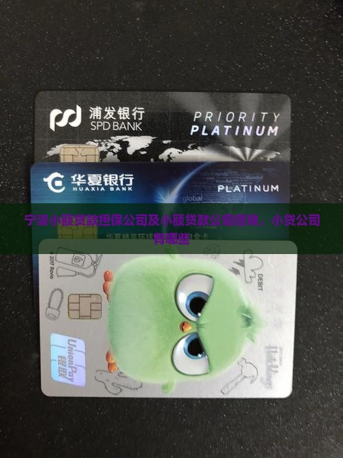 宁波小额贷款担保公司