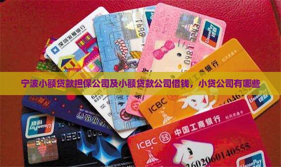 宁波小额贷款担保公司