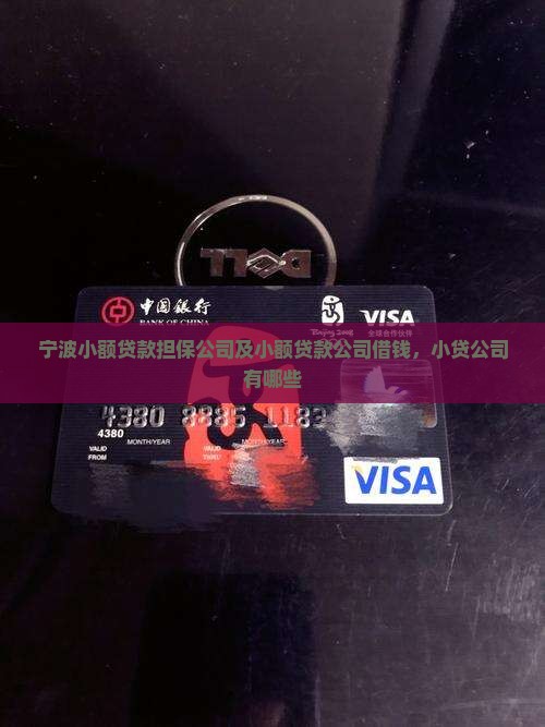 宁波小额贷款担保公司
