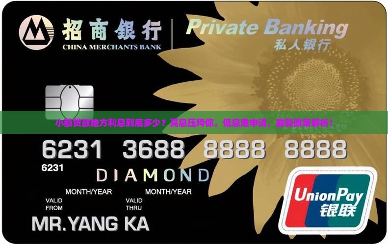 小额贷款地方多少利息啊