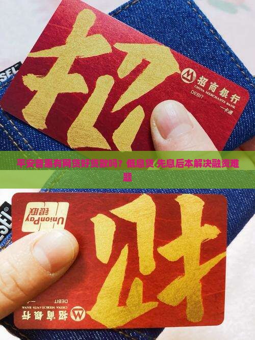 平安普惠有网贷好贷款吗