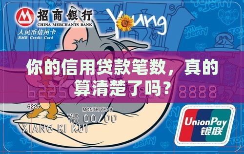 建设信用贷款笔数