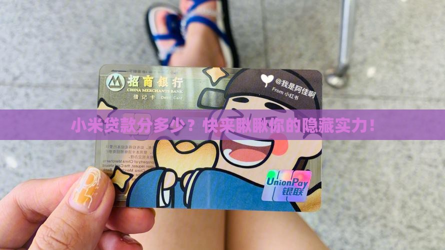 小米贷款哪里看分