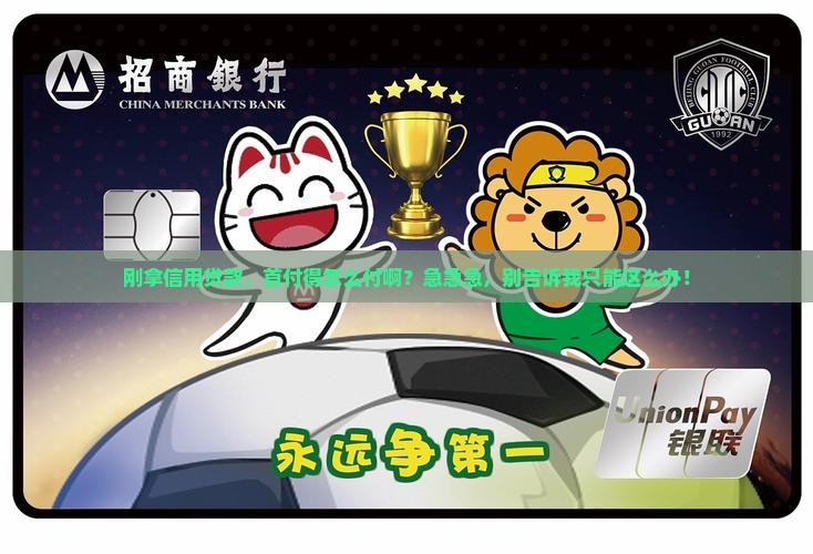 信用贷款怎么付首付款