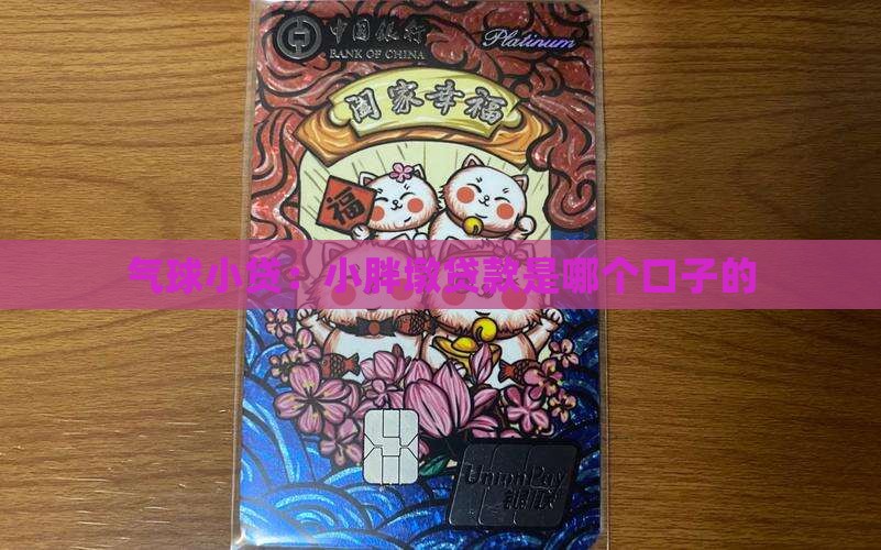小胖墩贷款是哪个口子的