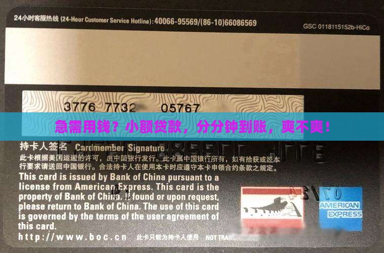 小额贷款极速到账