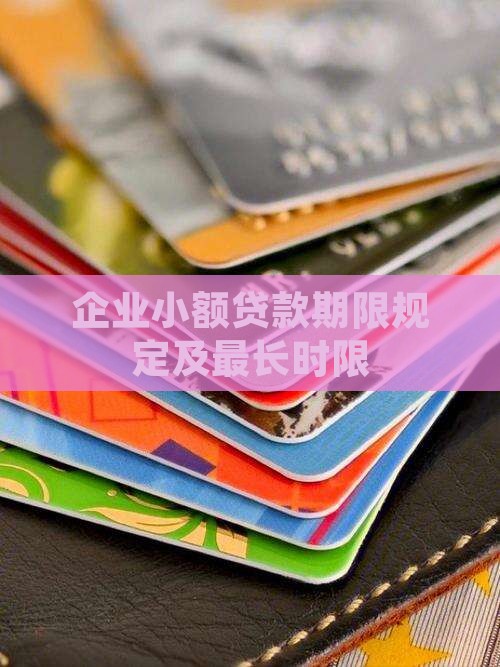 企业小额贷款期限