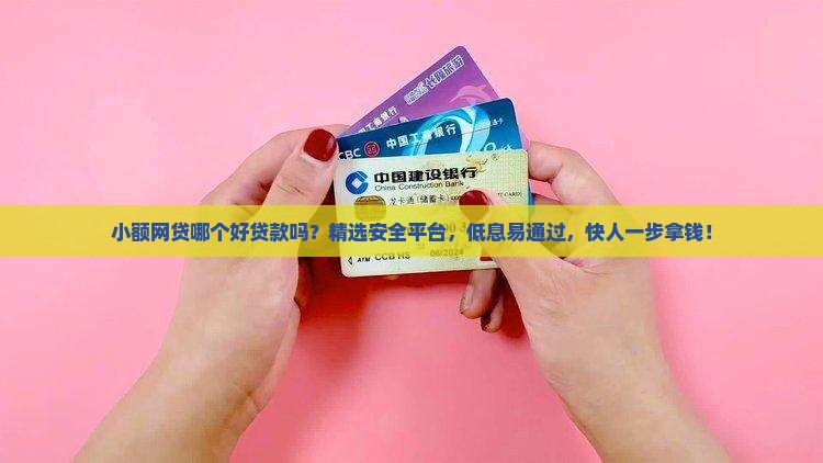 小额网贷哪个好贷款吗