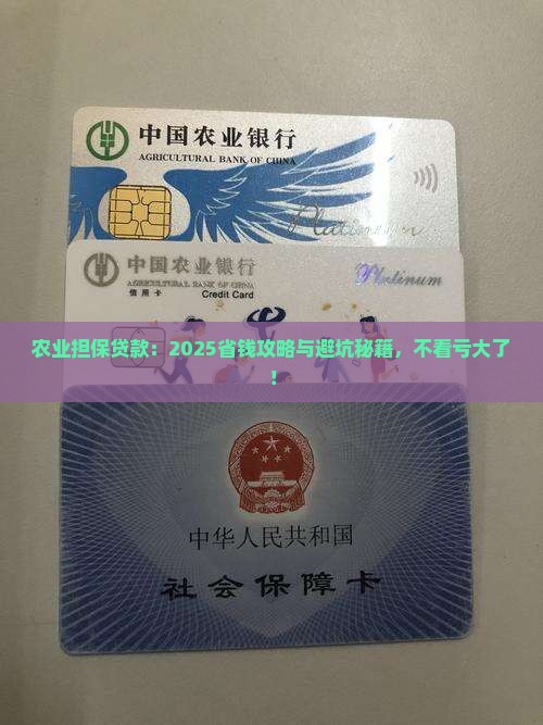 农业担保公司贷款的利弊