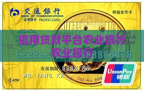 农行信用贷款是哪个平台