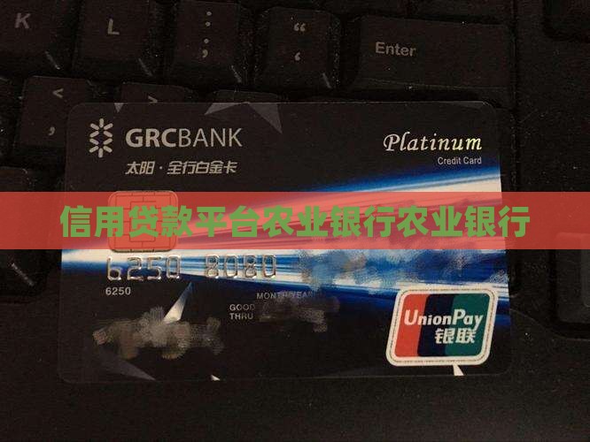 农行信用贷款是哪个平台