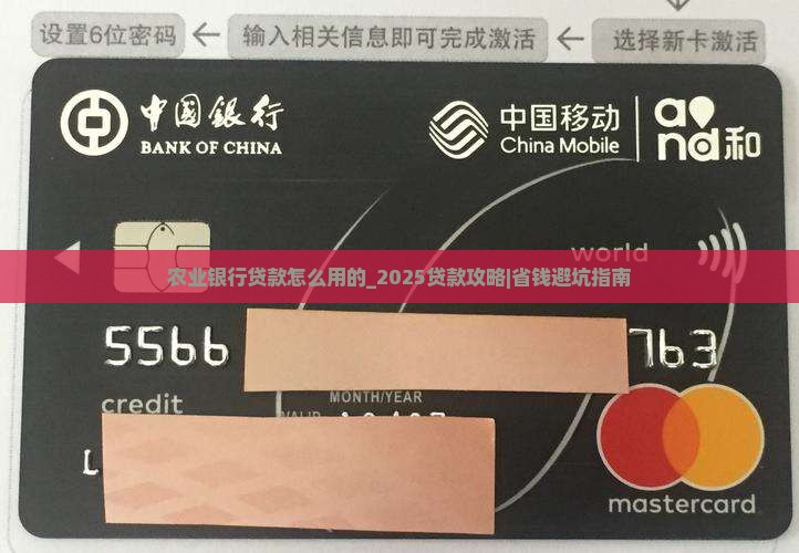 农业银行贷款怎么用的