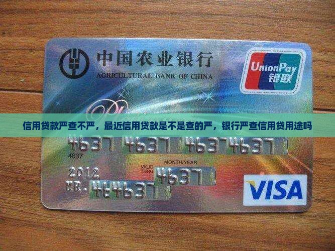 信用贷款严查