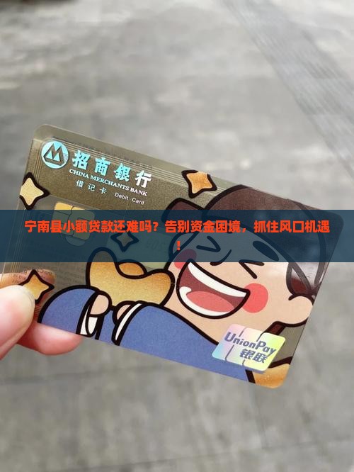 宁南县小额贷款